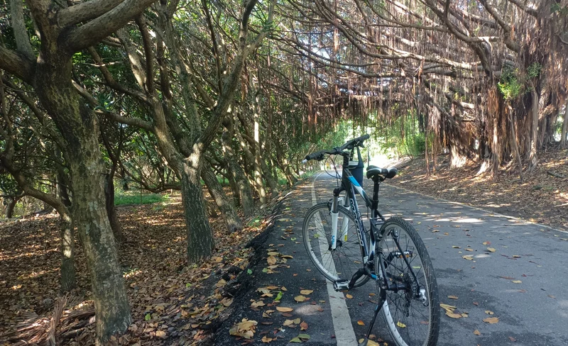 花蓮: 花蓮濱海自行車體驗 - 鳥踏石公園&曙光橋&北濱公園&海祭場SUP-KLOOK