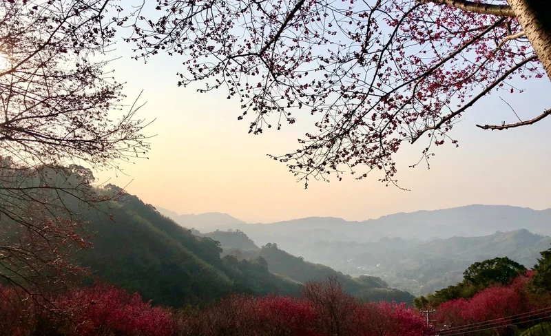 翠墨莊園門票-KLOOK