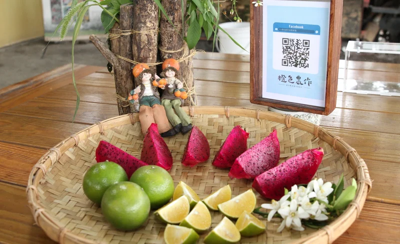 雲林｜橙色農作休閒果園四季採果體驗券｜需電話預約-KLOOK
