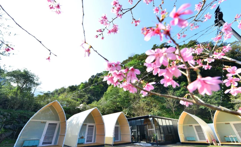 苗栗露營｜山川密境露營區｜彩虹貨櫃小屋露營體驗-KLOOK