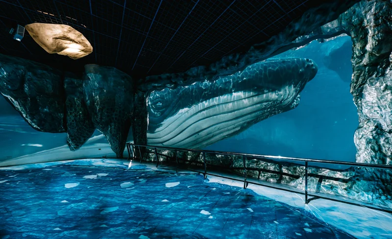 國立海洋生物博物館門票-KLOOK