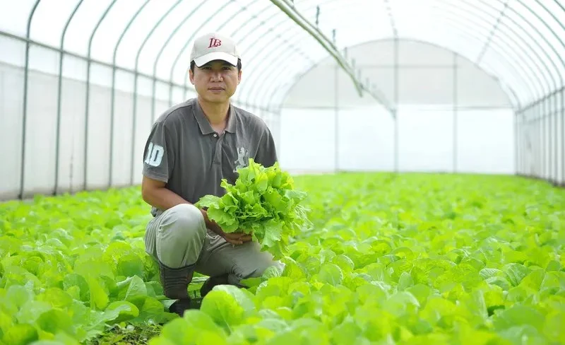 桃園 | 台塑楊梅有機生態農場 | 農場導覽・蔬果採摘・DIY活動-KLOOK