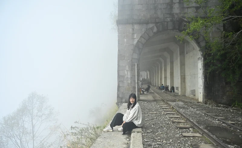 嘉義: 阿里山眠月線健行一日遊 - 橘子貓TTtrips-KLOOK