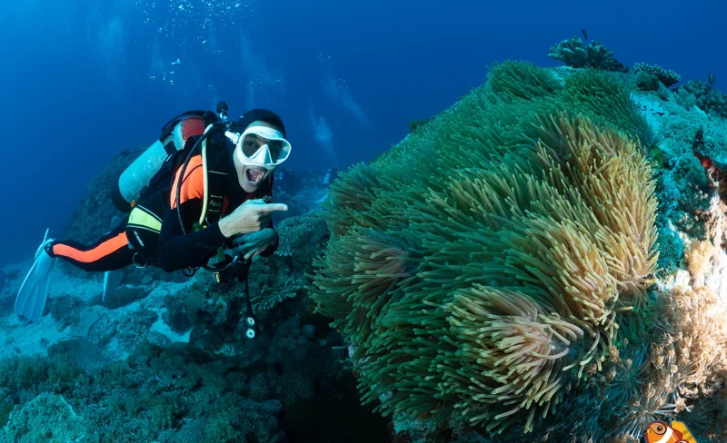 澎湖: 興仁潛水 Fun Dive 休閒潛水・PADI潛水員課程-KLOOK