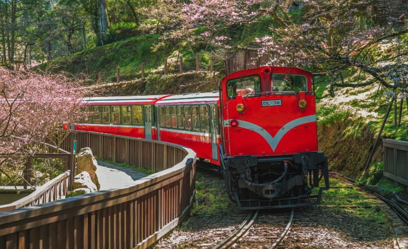 嘉義阿里山2日遊（台北出發・含文化體驗、景點門票）-KLOOK