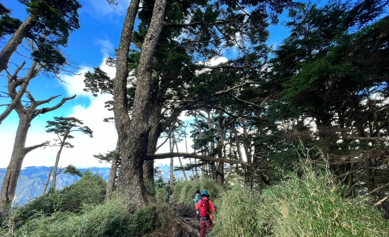 南橫三星登山團: 塔關山 & 關山嶺山 & 庫哈諾辛山(台北出發)-KLOOK