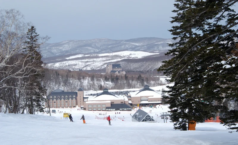 野生動物觀賞 & 森林漫步之旅（含手工製作）