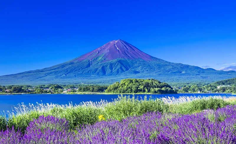 富士山河口湖＆季節限定行程＆山中湖溫泉一日遊（東京出發）