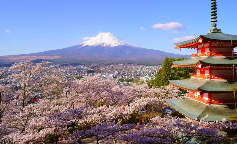 富士山＆河口湖經典美景一日遊（東京出發）