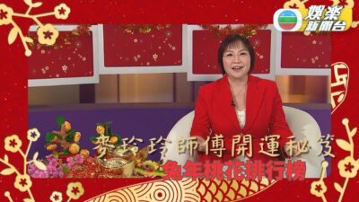 麥玲玲師傅開運秘笈：肖兔新年運程
