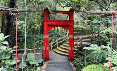 新北烏來包車一日遊: 雲仙樂園＆烏來台車情人橋＆烏來瀑布＆烏來老街 (台北出發)-KLOOK