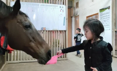 宜蘭｜噶馬蘭馬術運動場｜騎馬體驗｜戶外・河畔騎乘-KLOOK